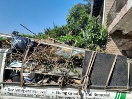 Shed Removal in Ann Arbor, MI